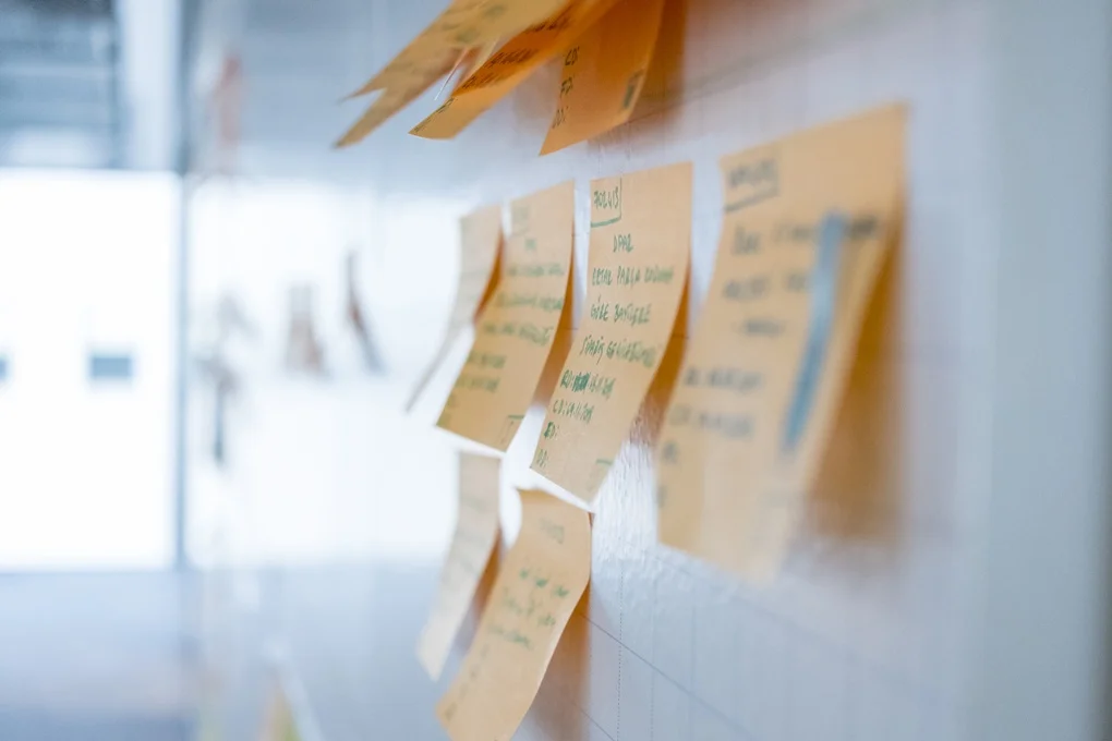 project management